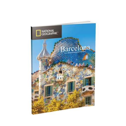 Puzzle 3D World Brands La Sagrada Familia (National Geographic)