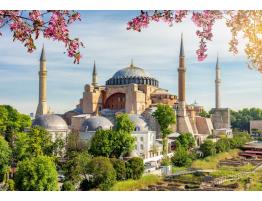 Puzzle Alipson Santa Sofía, Estambul de 1000 Piezas