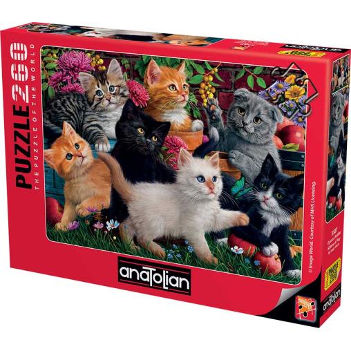 Puzzle Anatolian Gatitos Jugando de 260 Piezas