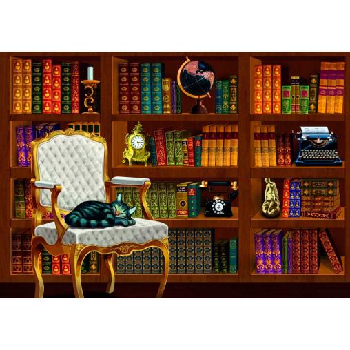 Puzzle Bluebird Biblioteca Vintage de 1000 Piezas