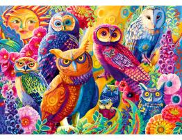 Puzzle Bluebird Búhos Coloridos de 1000 Piezas