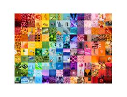 Puzzle Brain Tree Colores de la Vida de 1000 Piezas