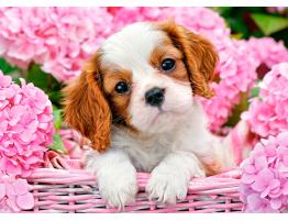 Puzzle Castorland Cachorro en Flores Rosas de 180 Piezas