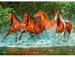 Puzzle Castorland Corriendo en la Cascada de 300 Piezas
