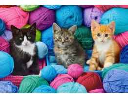 Puzzle Castorland Gatitos en Tienda de Hilos de 1000 Piezas