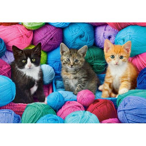 Puzzle Castorland Gatitos en Tienda de Hilos de 1000 Piezas