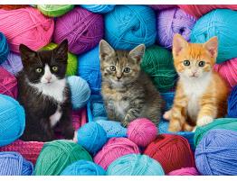 Puzzle Castorland Gatitos en Tienda de Hilos de 300 Piezas