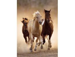 Puzzle Clementoni Chevaux Courants 1000 Pièces