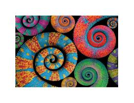 Puzzle Clementoni Colas Rizadas Colorboom de 500 Piezas