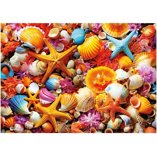 Puzzle Educa Collage de Conchas de 1000 Piezas