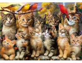 Puzzle Educa Gatitos y Pájaros de 500 Piezas