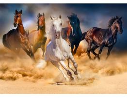 Puzzle Enjoy Caballos Corriendo en el Desierto de 1000 Piezas