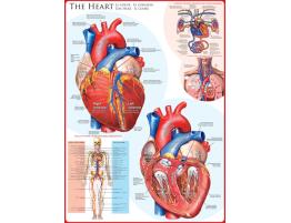 Eurographics Puzzle Le Coeur de 1000 pièces