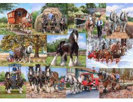 Puzzle House Of Puzzles Caballos de Carga de 1000 Piezas