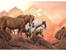 Puzzle Nova Caballos Salvajes de 1000 Piezas