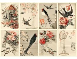 Puzzle Nova Collage de Pájaros Vintage de 1000 Piezas
