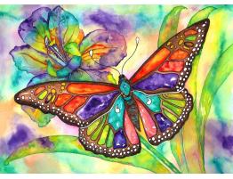 Puzzle Nova Mariposa Colorida de 1000 Piezas