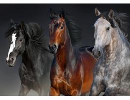 Puzzle Nova Tres Corazones Nobles de 1000 Piezas