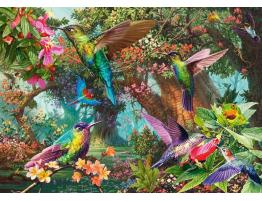 Puzzle Schmidt Colibríes en una Explosión De Color 1000 Piezas
