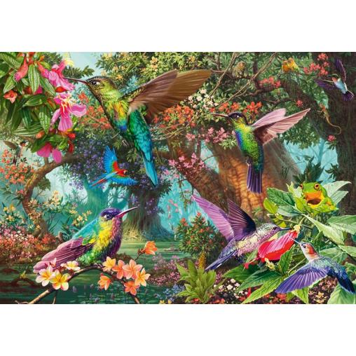 Puzzle Schmidt Colibríes en una Explosión De Color 1000 Piezas