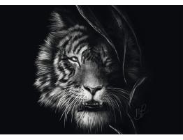 Puzzle Schmidt Ferocidad, Tigre: Libertad 1000 Piezas