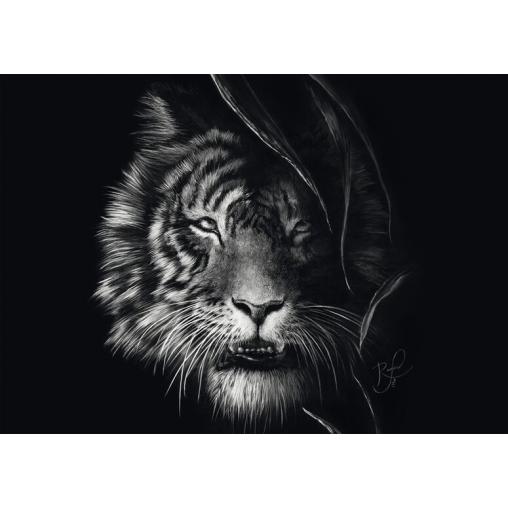 Puzzle Schmidt Ferocidad, Tigre: Libertad 1000 Piezas