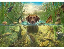 Puzzle Schmidt Labrador Chocolate en Chapuzón Refrescante 1000P