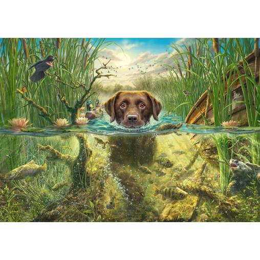 Puzzle Schmidt Labrador Chocolate en Chapuzón Refrescante 1000P