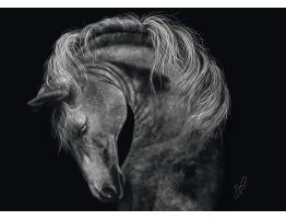 Puzzle Schmidt Potencia, Caballo: Fuerza 1000 Piezas