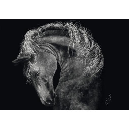 Puzzle Schmidt Potencia, Caballo: Fuerza 1000 Piezas