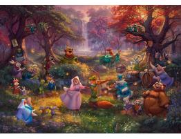 Puzzle Schmidt Robin Hood 1000 Piezas