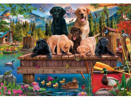 Puzzle Schmidt Una Familia De Perros En El Lago 1000 Piezas