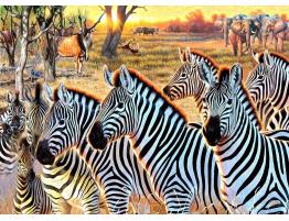 Puzzle SunsOut Cebras Y Amigos XXL de 500 Piezas